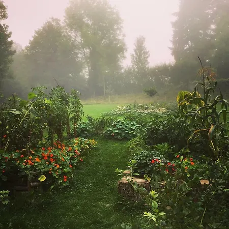 Evergreen Bed and breakfast *