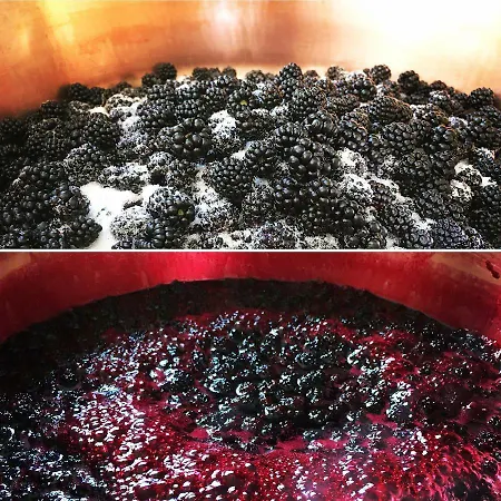 Evergreen Bed and breakfast Blaru